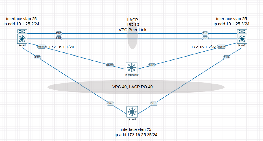 Lcp Box Network Combination of VPC Port-channel and LACP Ether-channel for network ...